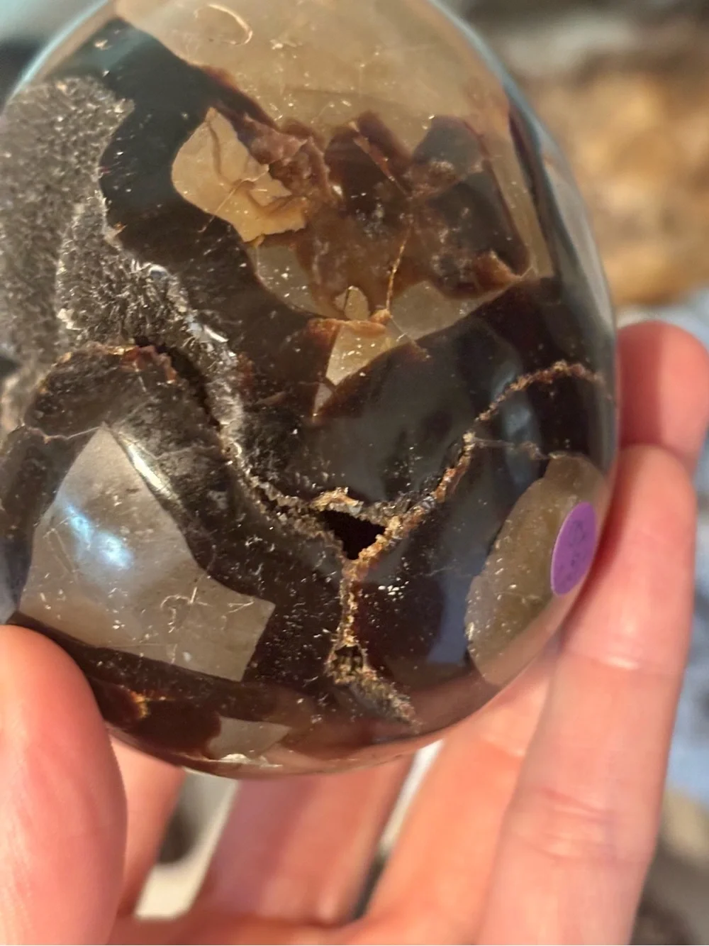 N/A striking polished